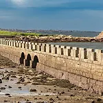Andreamar