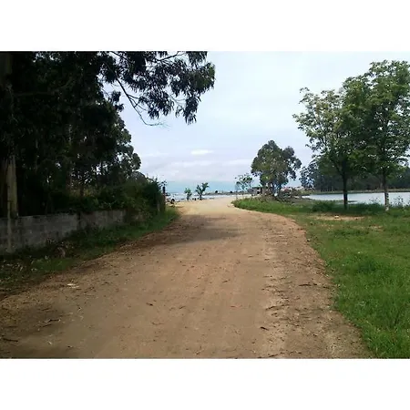 Andreamar