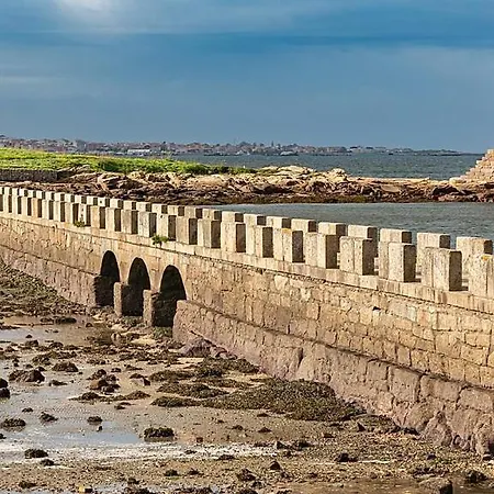 Andreamar